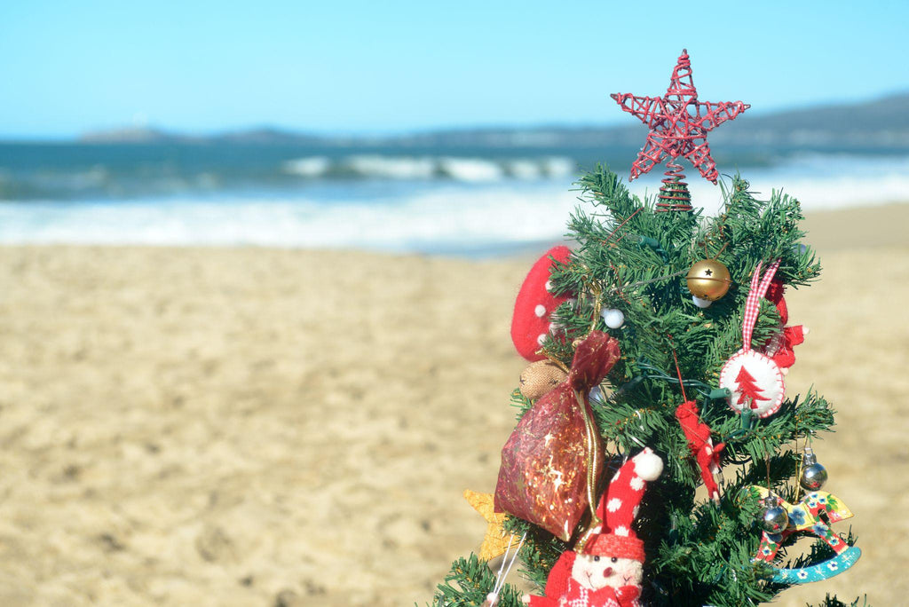 Decorated Christmas tree at the beach
